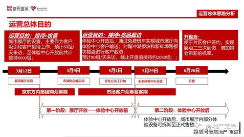 《某項(xiàng)目策劃定位報(bào)告》框架解析與公關(guān)服務(wù)整合策略
